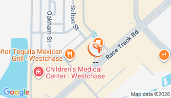 Westchase, FL Auto Insurance Agency